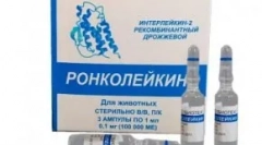 Roncolekin: univerzalni imunomodulator za mačke
